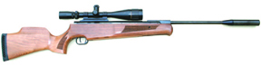 Theoben Eliminator