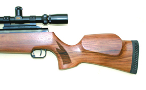 Theoben Eliminator