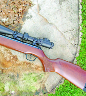 Walther LGV
