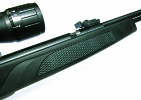 Gamo CFR Whisper