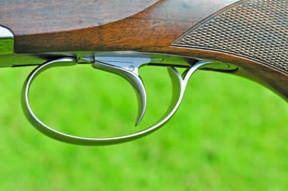Beretta DT11