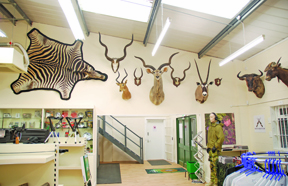 Riflecraft New Shop