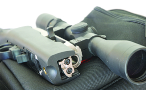Ruger 10/22 Take Down