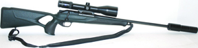 Blaser R8 Professional Success