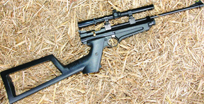 Crosman 2250B