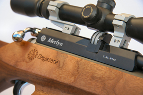 Daystate Merlyn ST Carbine