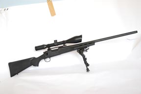 Remington SPS Varmint / 17 Rem Fireball