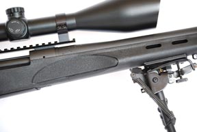 Remington SPS Varmint / 17 Rem Fireball