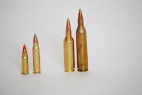 Remington SPS Varmint / 17 Rem Fireball