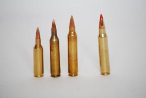 Remington SPS Varmint / 17 Rem Fireball