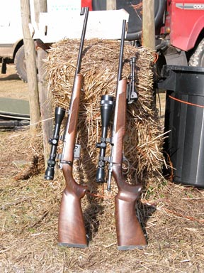 6.5mm Grendel