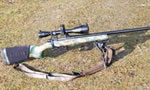 Rifle Reviews: 6.5mm Grendel