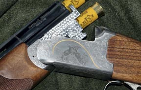 Bettinsoli Silverline 20 - bore