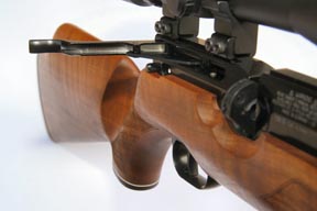 Weihrauch HW100S
