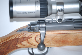 Ruger M77/22 Magnum All-Weather