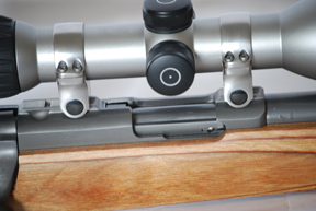 Ruger M77/22 Magnum All-Weather