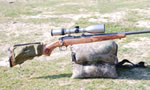 Rifle Reviews: Ruger M77/22 Magnum All-Weather