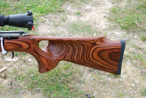 Savage 93R17 BTVS