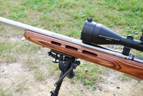 Savage 93R17 BTVS