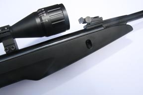 Gamo Whisper
