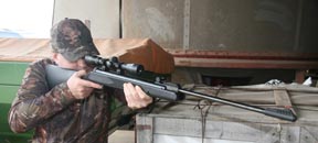 Umarex Ruger Hawk & Air Hawk Elite