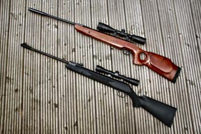 Umarex Ruger Hawk & Air Hawk Elite