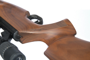 Theoben Evolution Carbine