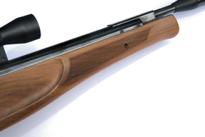 Theoben Evolution Carbine