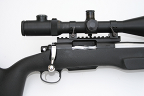 Rhino GP Hunter in .308 Custom Rifle