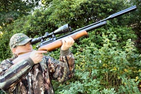 Air Arms S410 Classic