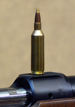 Swift Precision Rifles