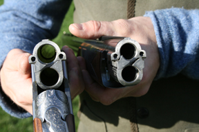 Beretta EELL with two sets of barrels (20 bore and 28 bore)
