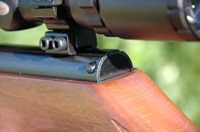 SMK rifle Custom SuperGrade XS20