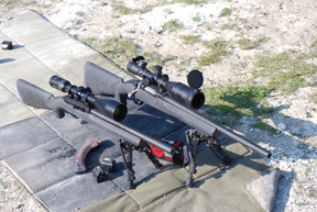 Ruger M77 Hawkeye and 10/22 Tacticals
