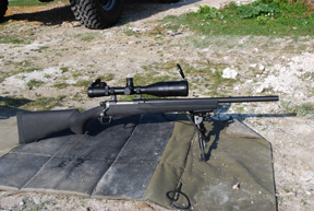 Ruger M77 Hawkeye and 10/22 Tacticals