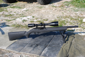 Ruger M77 Hawkeye and 10/22 Tacticals