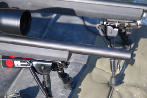 Ruger M77 Hawkeye and 10/22 Tacticals