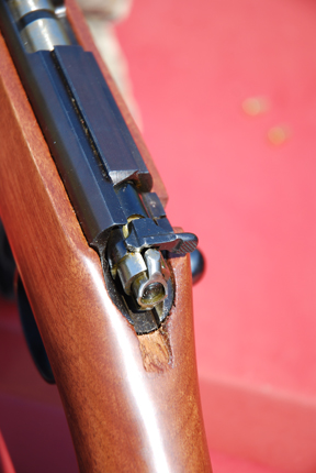 Norinco JW-25A, 22 rimfire
