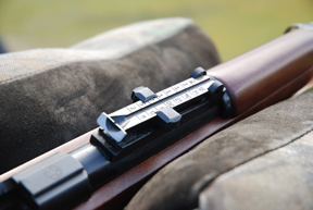Norinco JW-25A, 22 rimfire