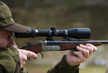 Merkel DB 141