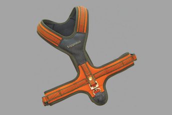 Niggeloh Dog Harness