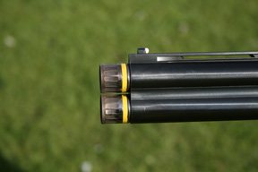 Beretta DT10 Scroll model