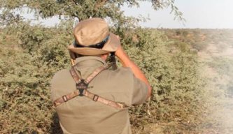 Hunting Story: Spring Bok in the Kalahari