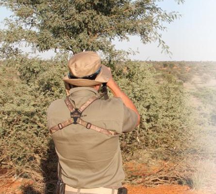 Hunting Story: Spring Bok in the Kalahari