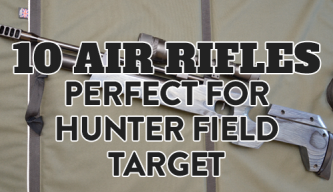 10 Air Rifles Perfect For Hunter Field Target