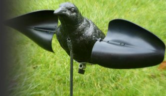 Corvid Decoys