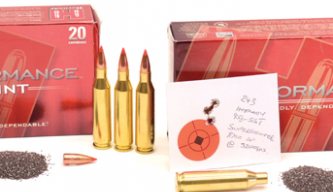 Ammo Test - Hornady 243 Win