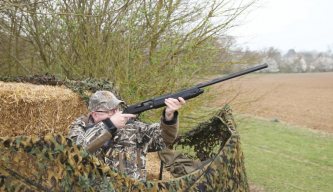 Guided Pigeon Shooting