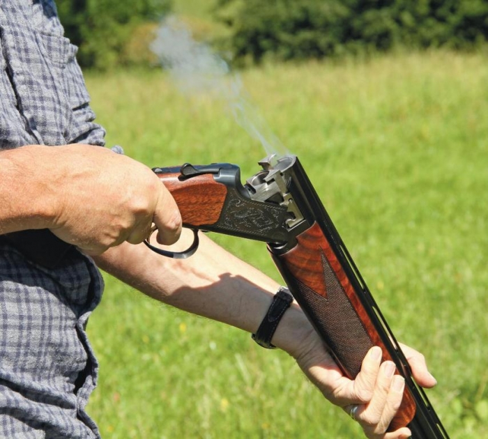 Hull Partridge Cartridge Shotgun Cartridges Gun Mart