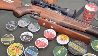 Top 10 Airgun Pellets